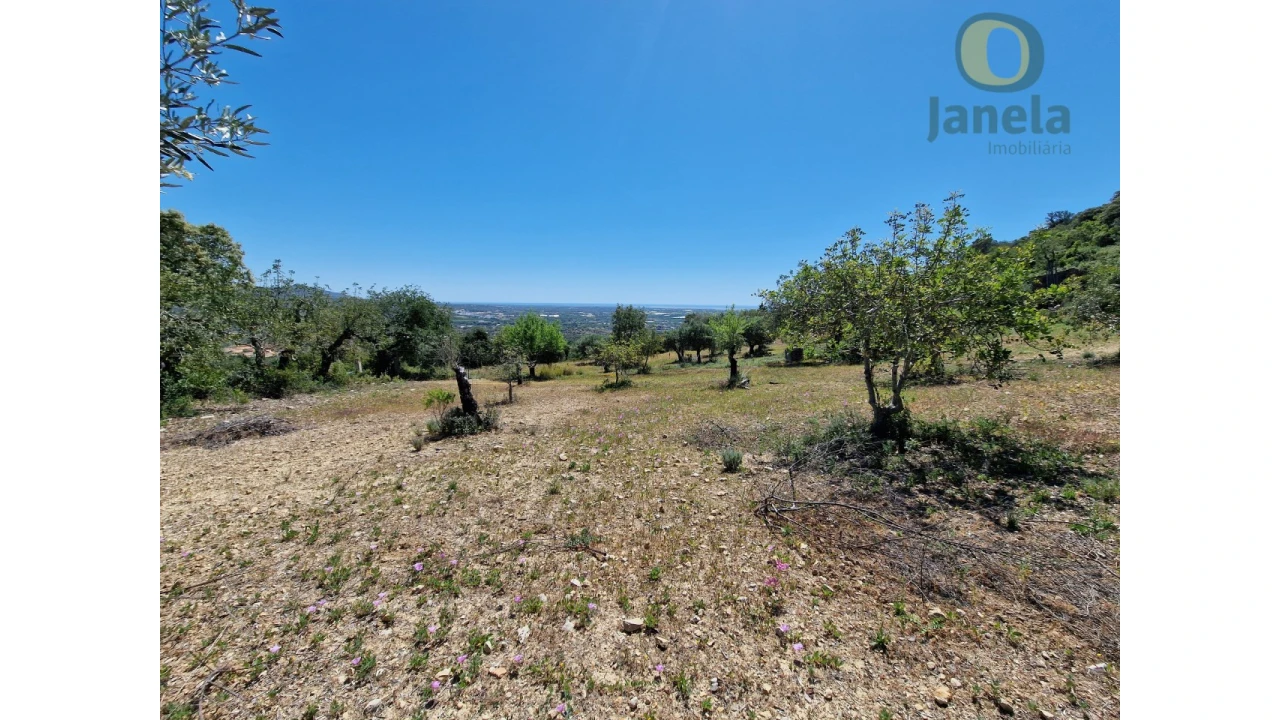 Terreno para Venda em Conceição e Estoi Foto 20