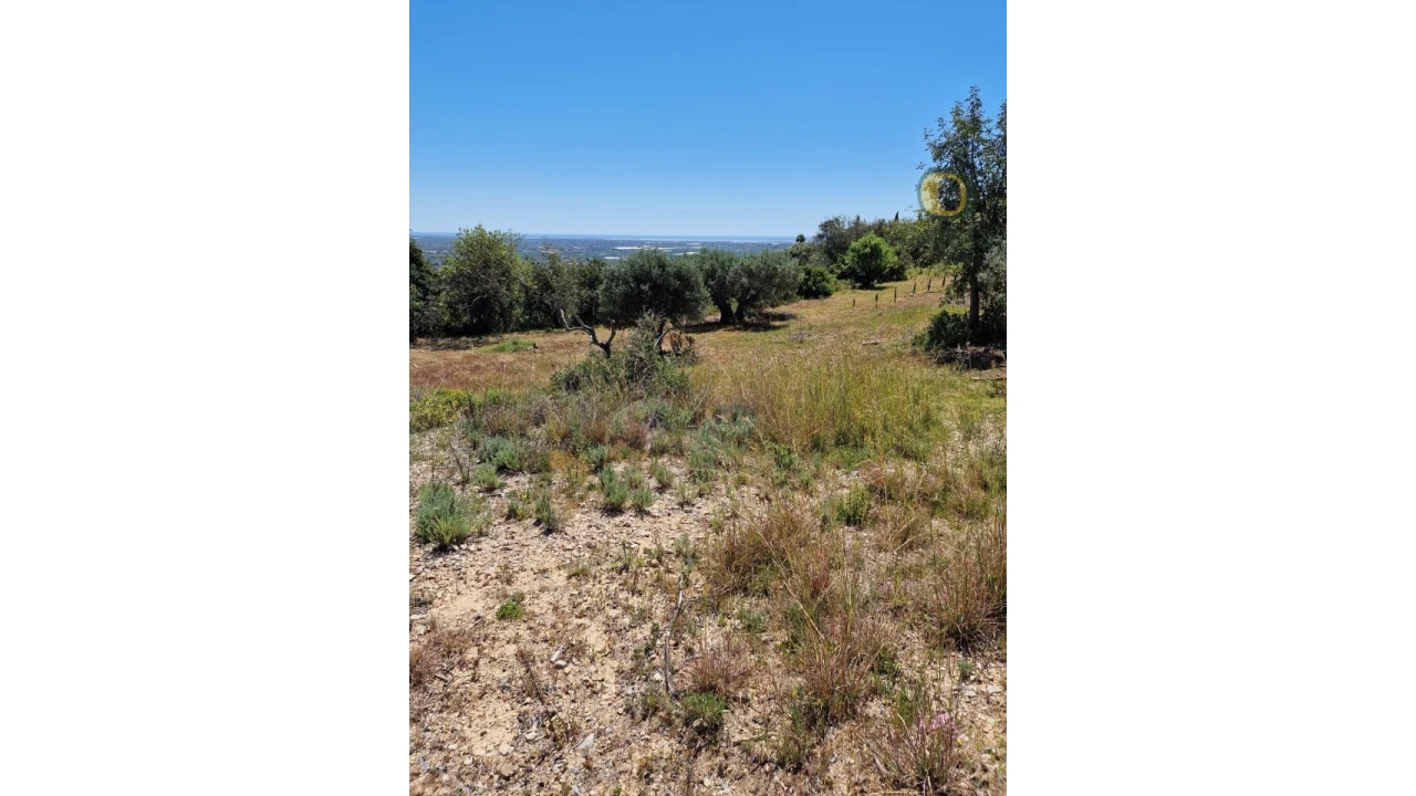 Terreno para Venda em Conceição e Estoi Foto 22