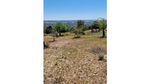 Terreno para Venda em Conceição e Estoi