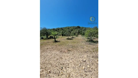 Terreno para Venda em Conceição e Estoi