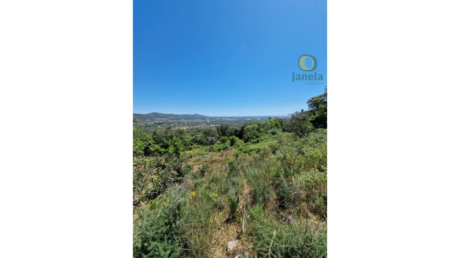 Terreno para Venda em Conceição e Estoi Foto 12