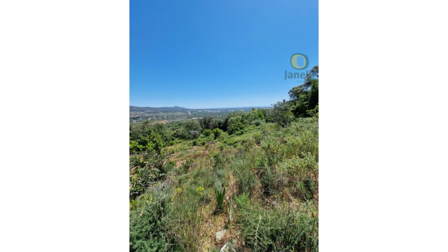 Terreno para Venda em Conceição e Estoi Foto 13