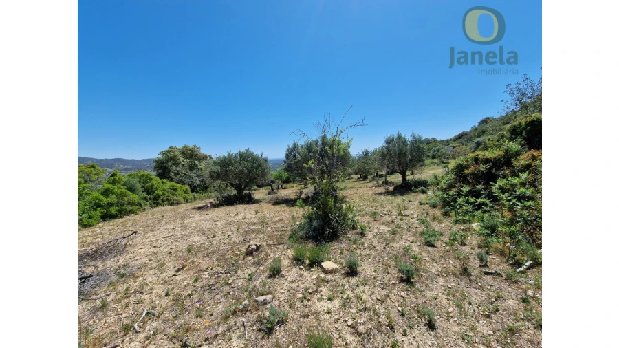 Terreno para Venda em Conceição e Estoi Foto 18