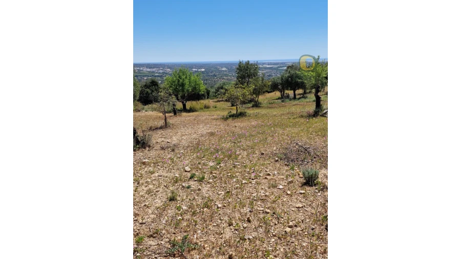 Terreno para Venda em Conceição e Estoi Foto 19