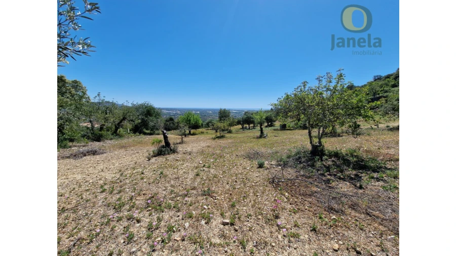 Terreno para Venda em Conceição e Estoi Foto 20