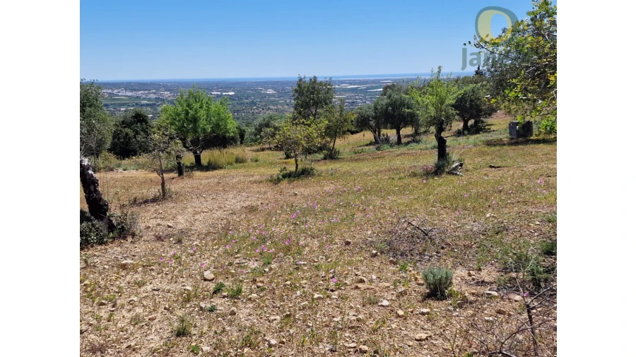 Terreno para Venda em Conceição e Estoi Foto 4