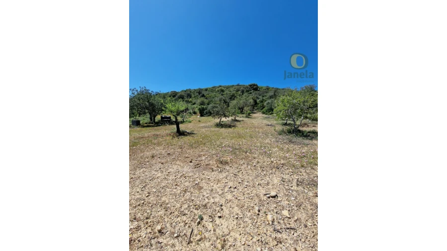 Terreno para Venda em Conceição e Estoi Foto 21