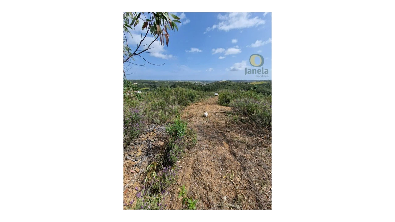 Quinta T3 para Venda em Mexilhoeira Grande Foto 4