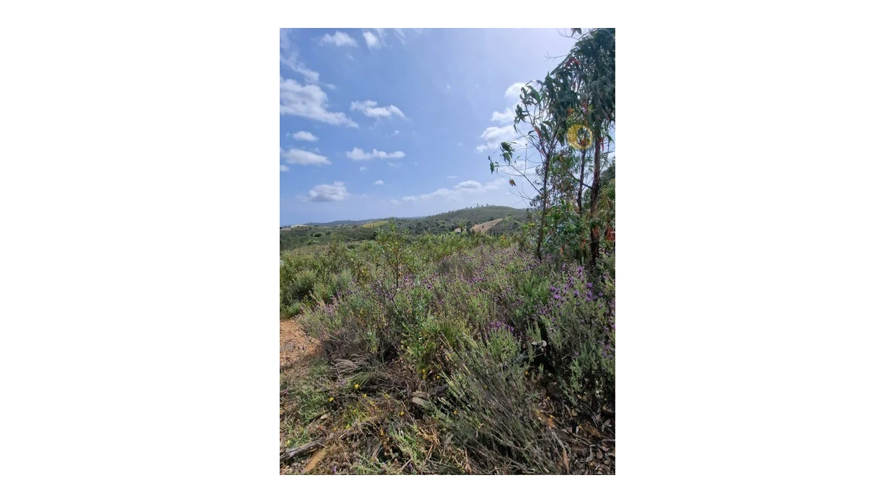 Quinta T3 para Venda em Mexilhoeira Grande Foto 6