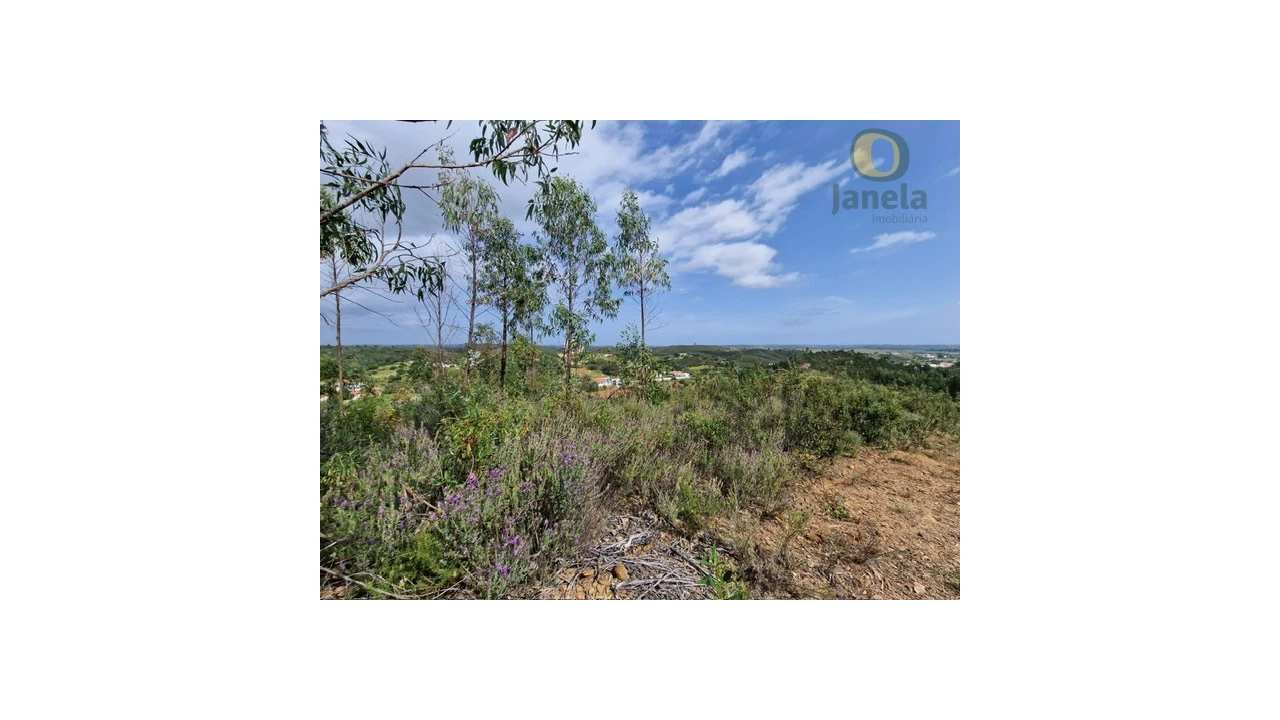 Quinta T3 para Venda em Mexilhoeira Grande Foto 7