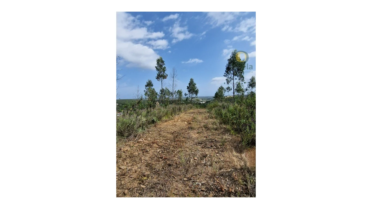 Quinta T3 para Venda em Mexilhoeira Grande Foto 9