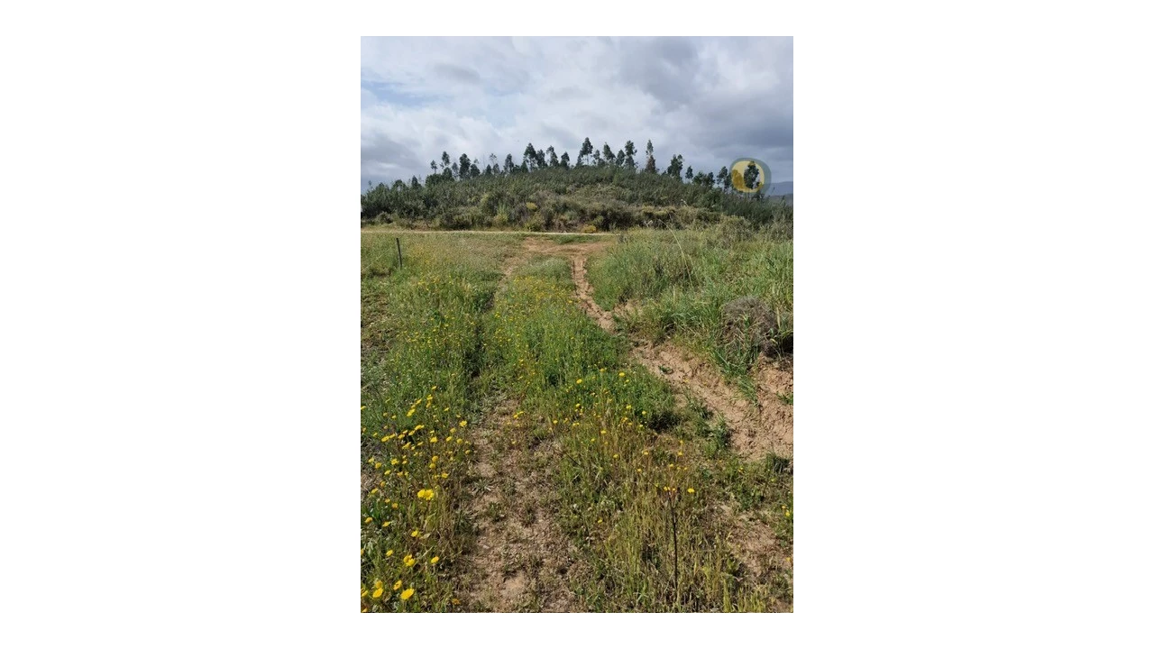 Quinta T3 para Venda em Mexilhoeira Grande Foto 12