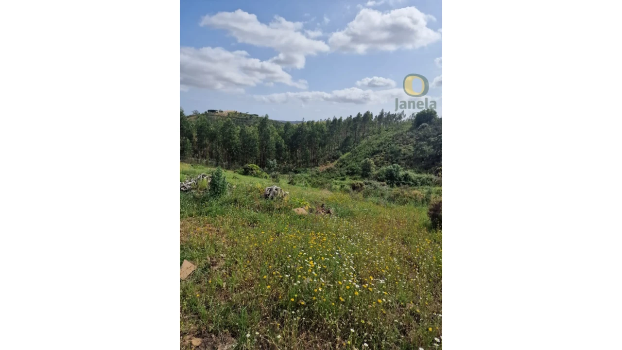 Quinta T3 para Venda em Mexilhoeira Grande Foto 15