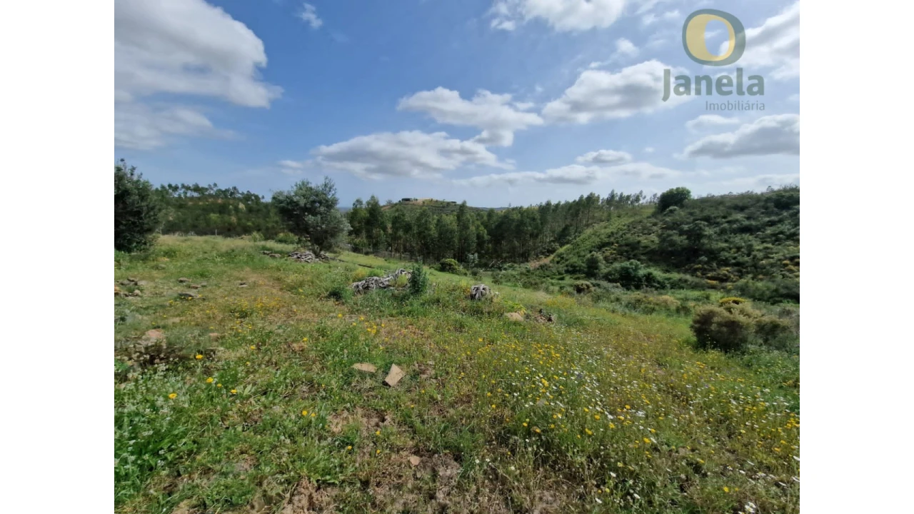 Quinta T3 para Venda em Mexilhoeira Grande Foto 16