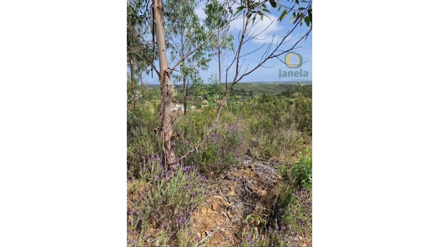 Quinta T3 para Venda em Mexilhoeira Grande Foto 5