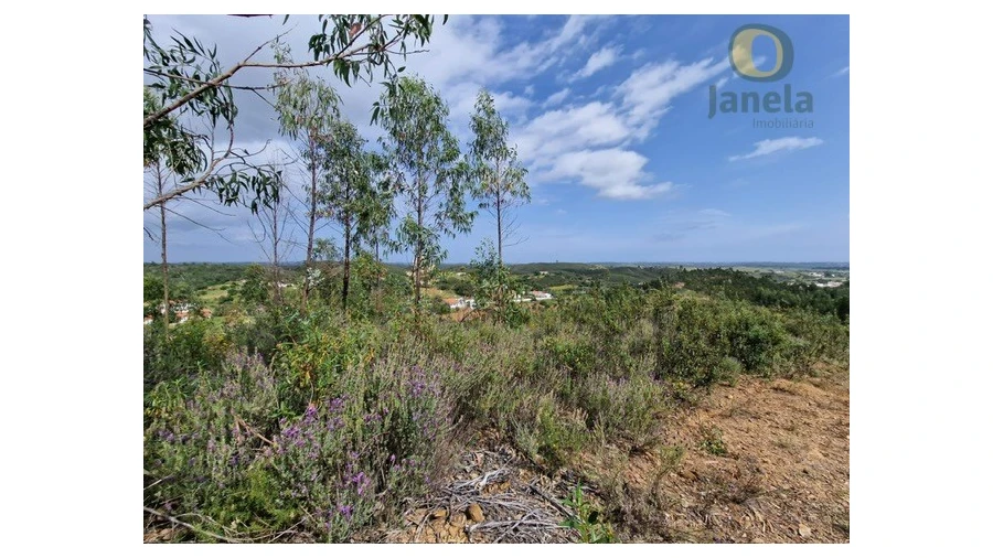 Quinta T3 para Venda em Mexilhoeira Grande Foto 7