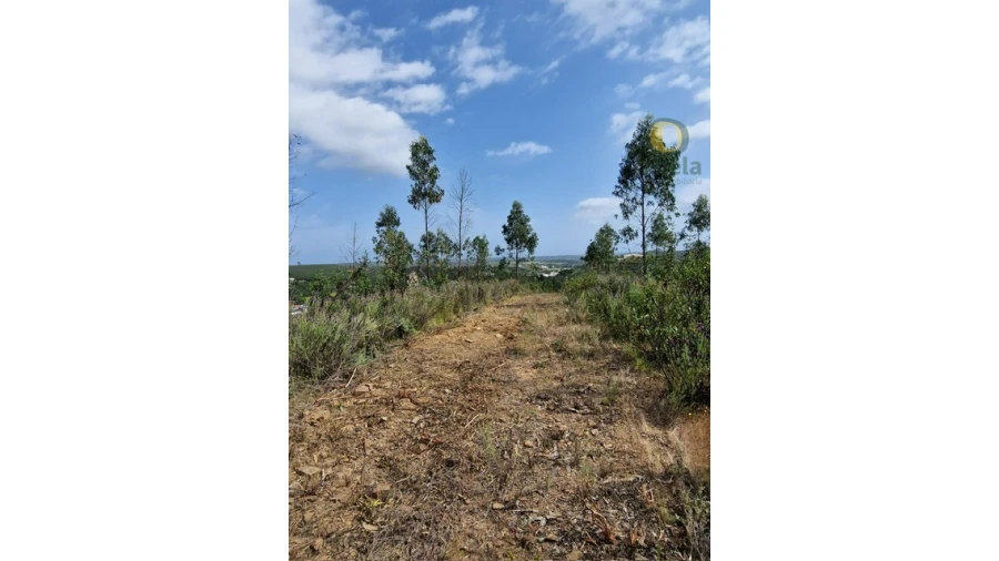 Quinta T3 para Venda em Mexilhoeira Grande Foto 9