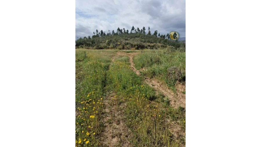 Quinta T3 para Venda em Mexilhoeira Grande Foto 12