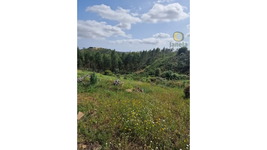 Quinta T3 para Venda em Mexilhoeira Grande Foto 15