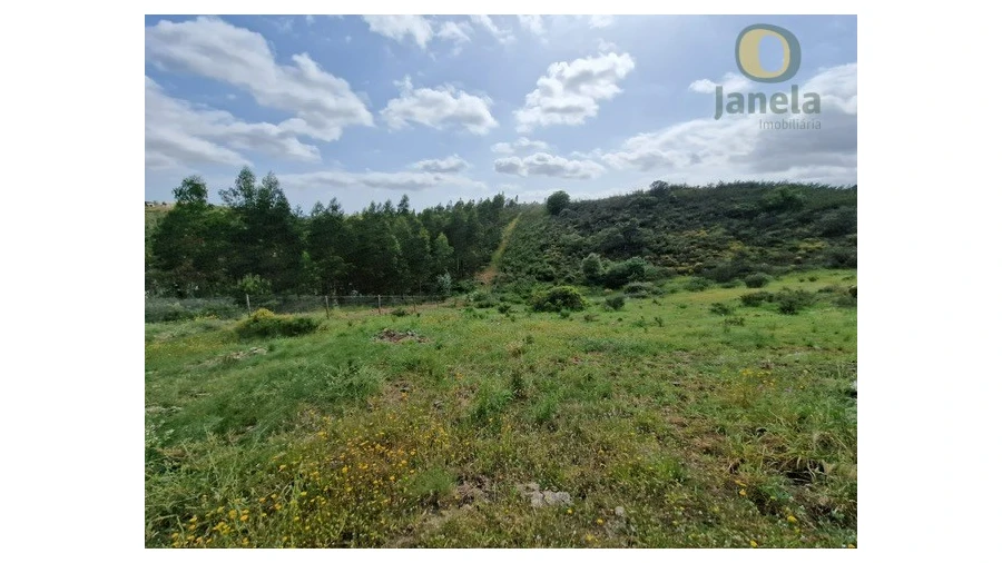 Quinta T3 para Venda em Mexilhoeira Grande Foto 18