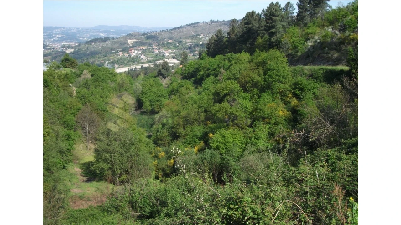 Quinta para Venda em Campelo e Ovil Foto 3