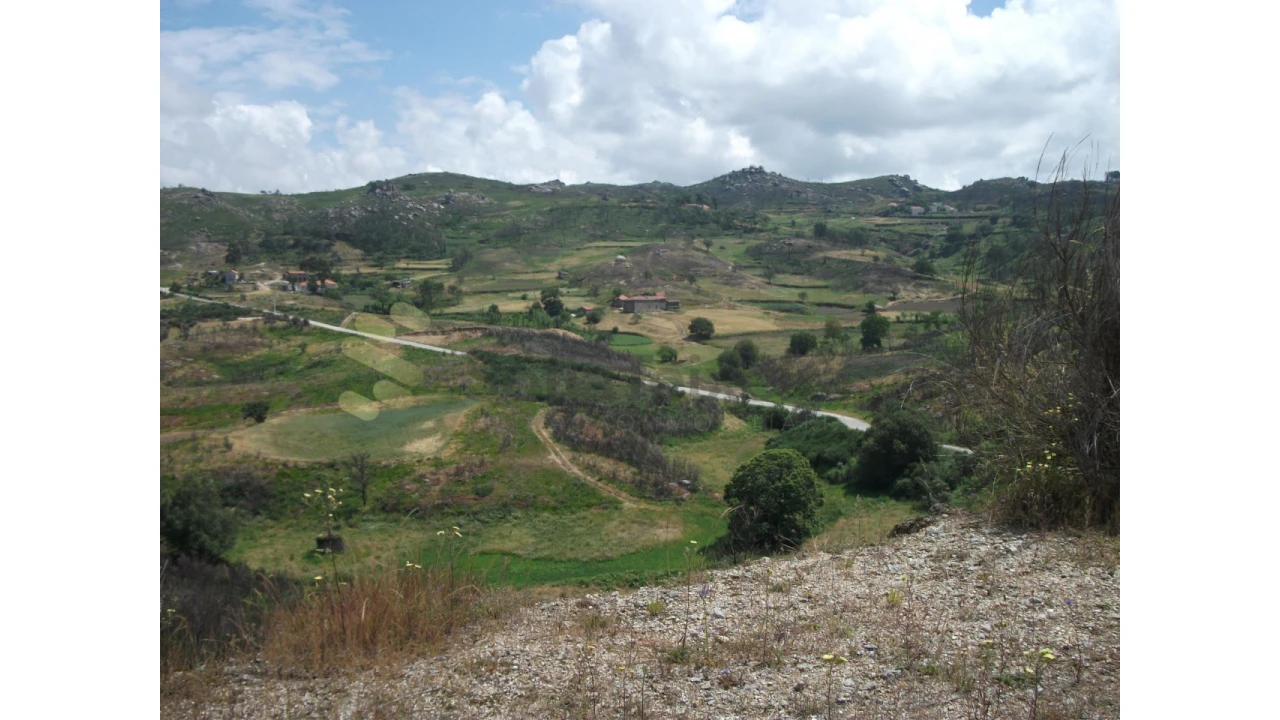 Quinta para Venda em Campelo e Ovil Foto 4