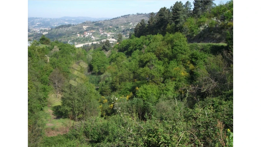 Quinta para Venda em Campelo e Ovil Foto 3