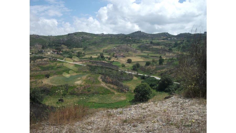 Quinta para Venda em Campelo e Ovil Foto 4