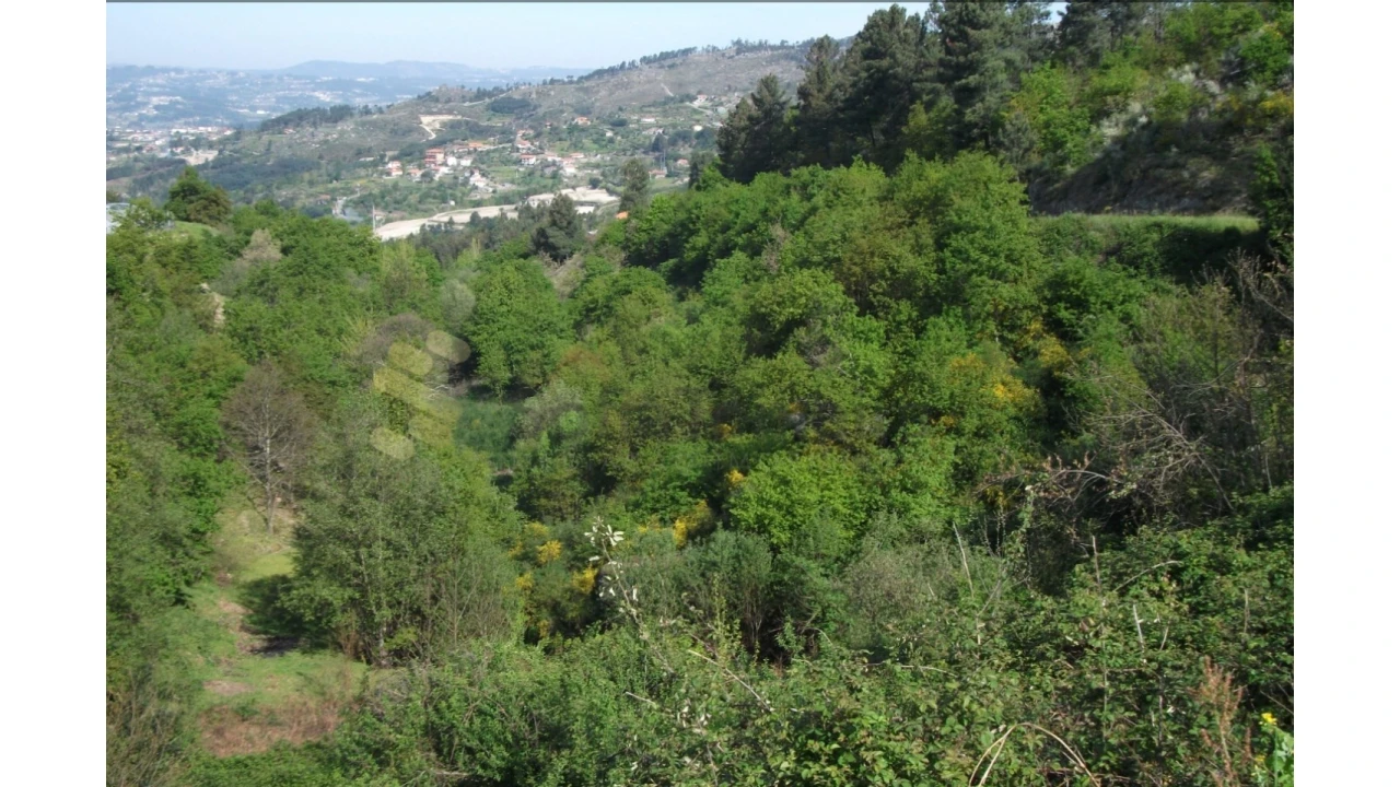 Terreno para Venda em Soalhães Foto 1