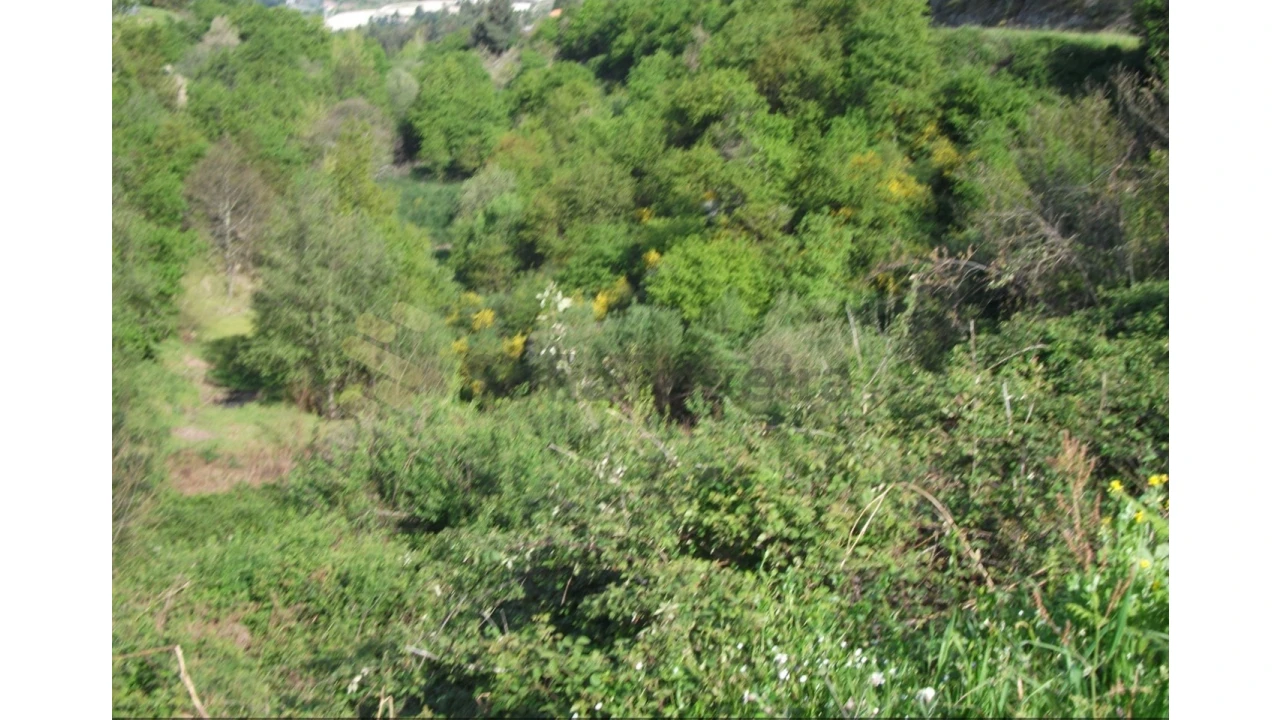 Terreno para Venda em Soalhães Foto 3