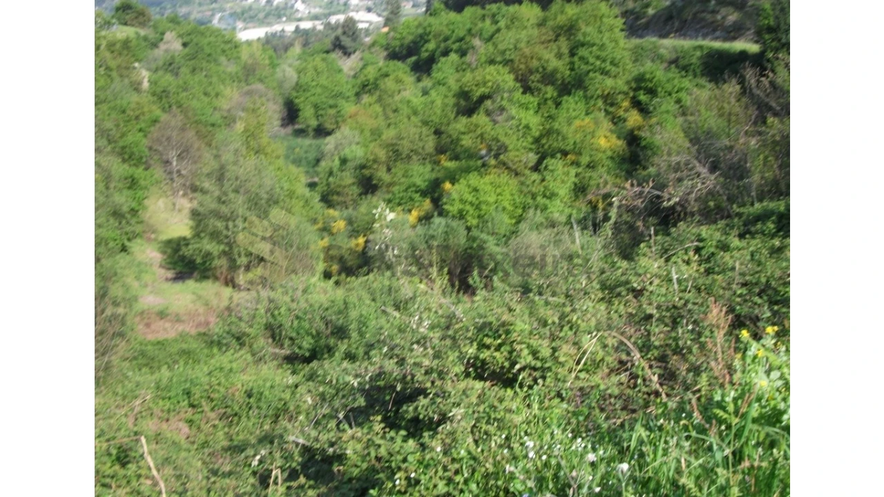 Terreno para Venda em Soalhães Foto 4