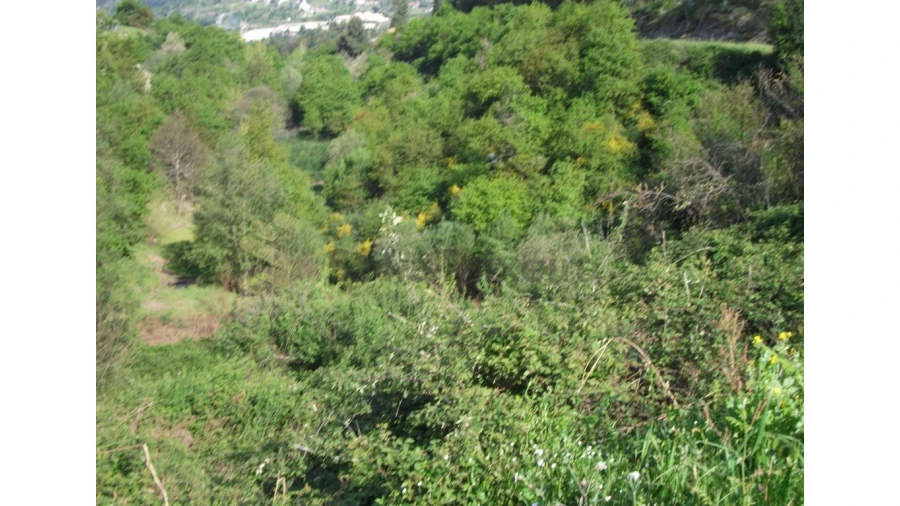 Terreno para Venda em Soalhães Foto 4
