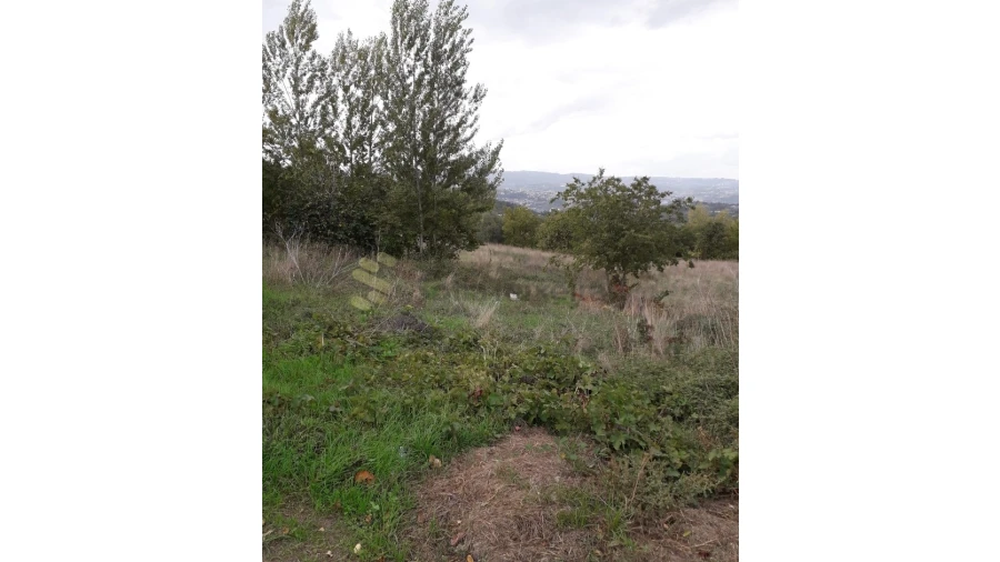 Terreno para Venda em Soalhães Foto 4