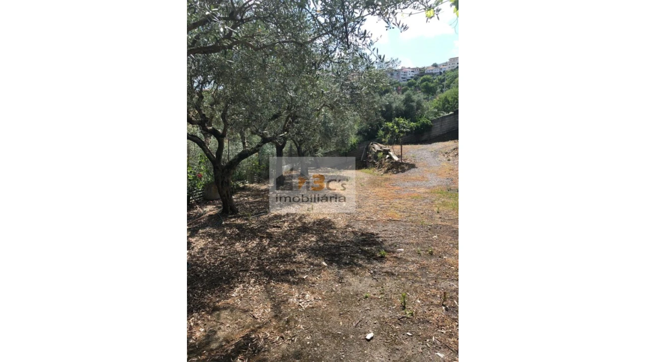 Terreno Misto para Venda em Torre de Moncorvo Foto 6