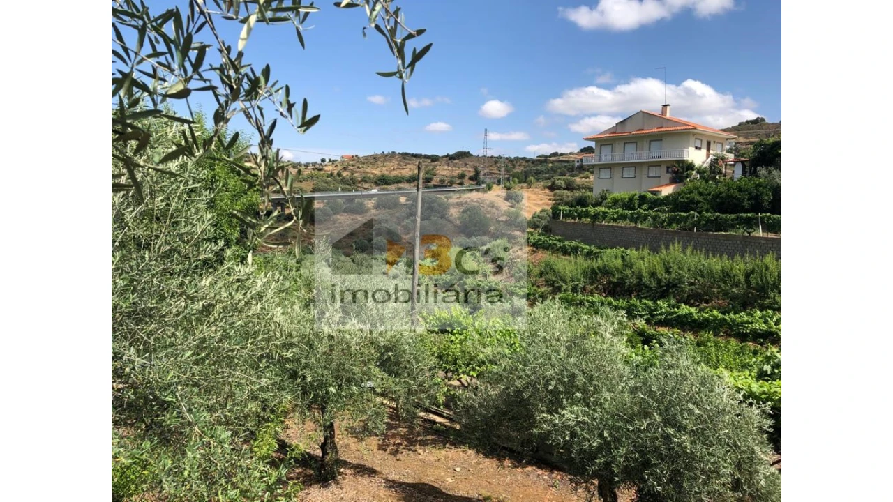 Terreno Misto para Venda em Torre de Moncorvo Foto 13