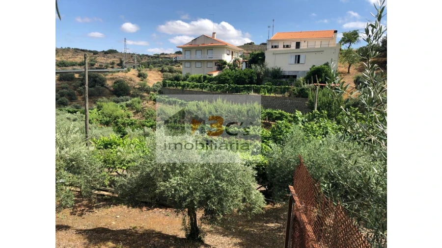 Terreno Misto para Venda em Torre de Moncorvo Foto 7