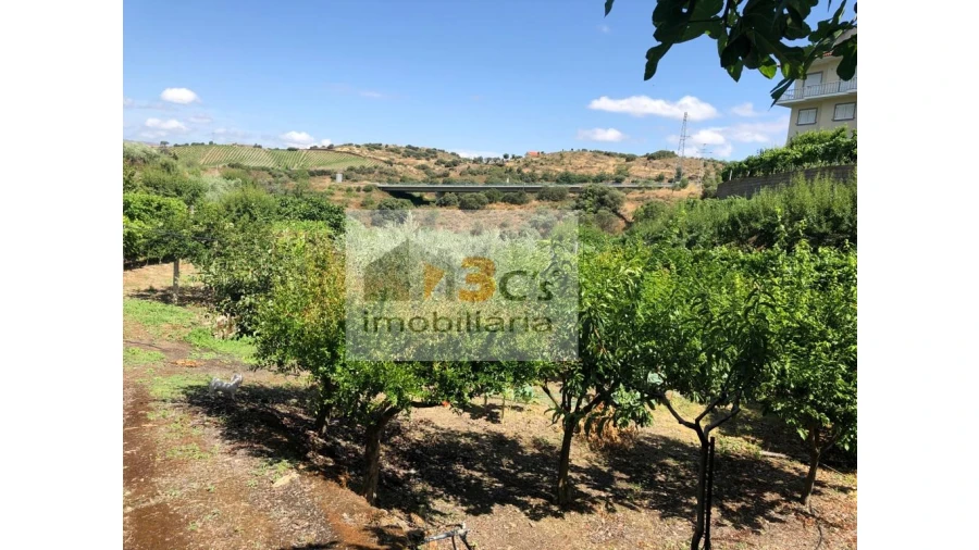 Terreno Misto para Venda em Torre de Moncorvo Foto 10