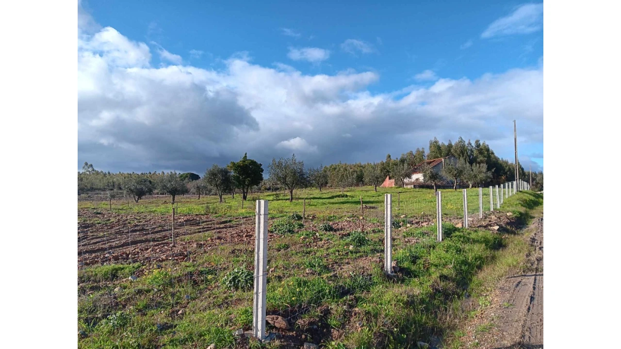 Terreno Agricola ou Rústico para Venda em Mação, Penhascoso e Aboboreira Foto 2