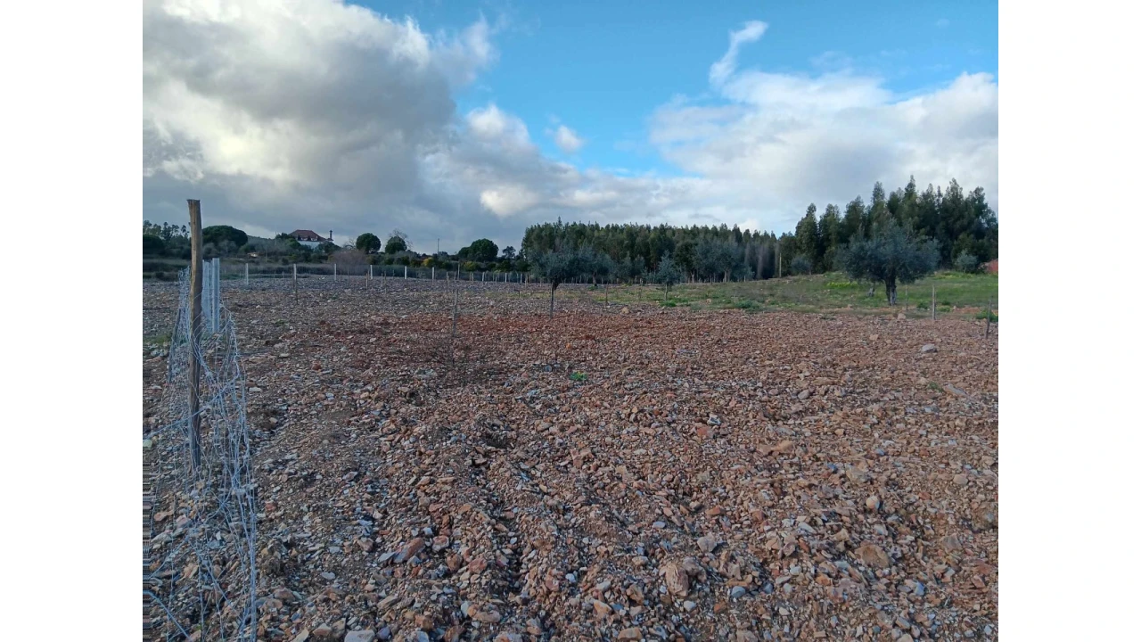 Terreno Agricola ou Rústico para Venda em Mação, Penhascoso e Aboboreira Foto 10