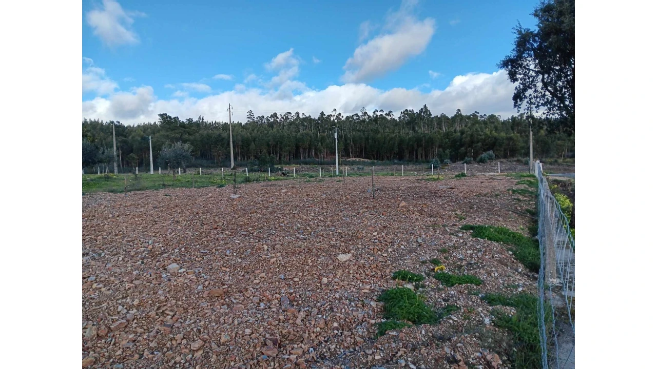 Terreno Agricola ou Rústico para Venda em Mação, Penhascoso e Aboboreira Foto 11