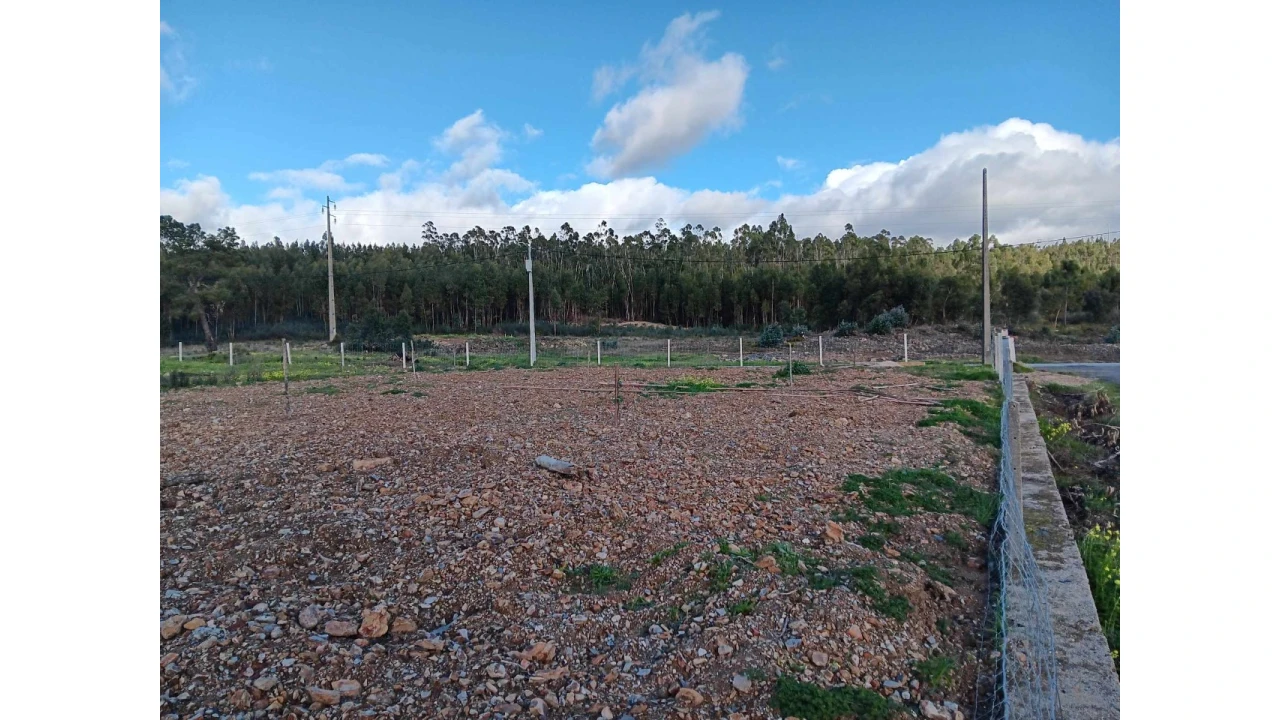 Terreno Agricola ou Rústico para Venda em Mação, Penhascoso e Aboboreira Foto 13