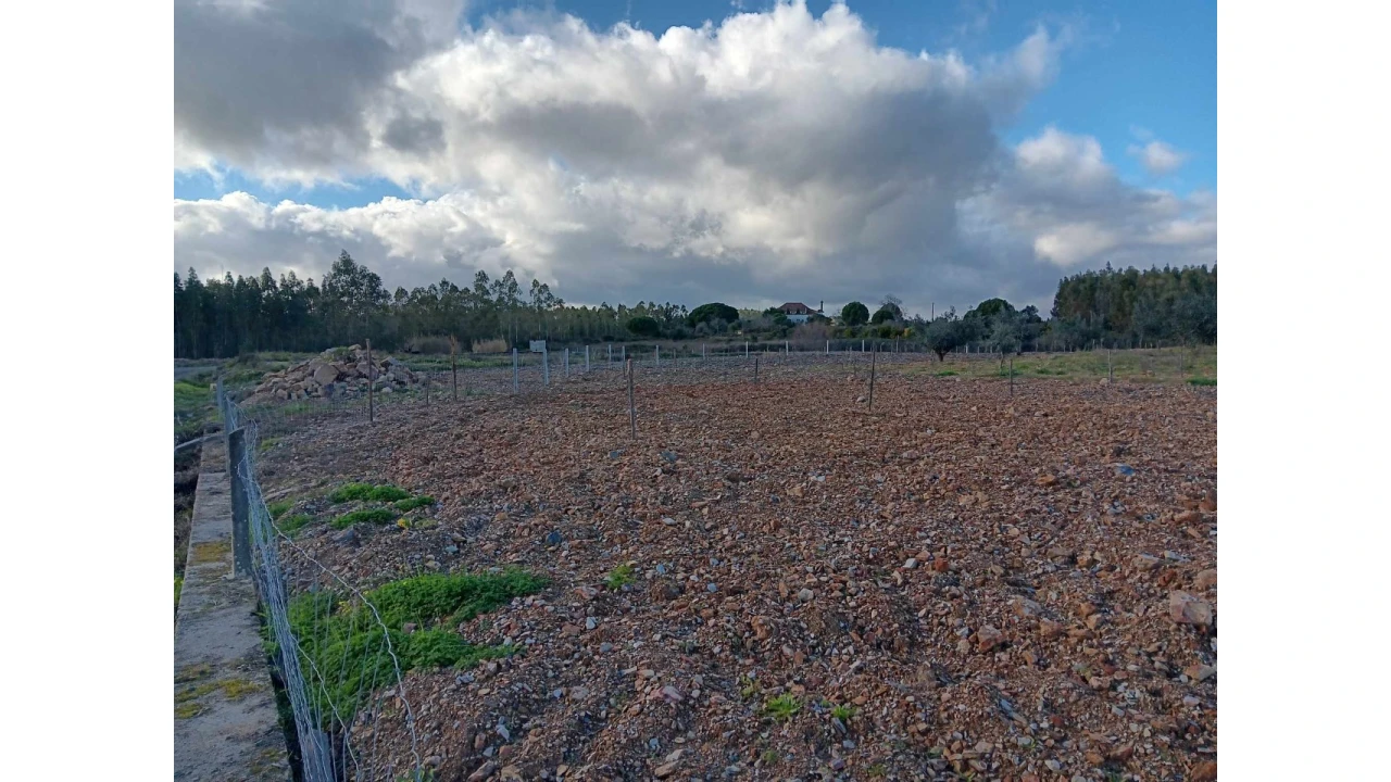 Terreno Agricola ou Rústico para Venda em Mação, Penhascoso e Aboboreira Foto 14