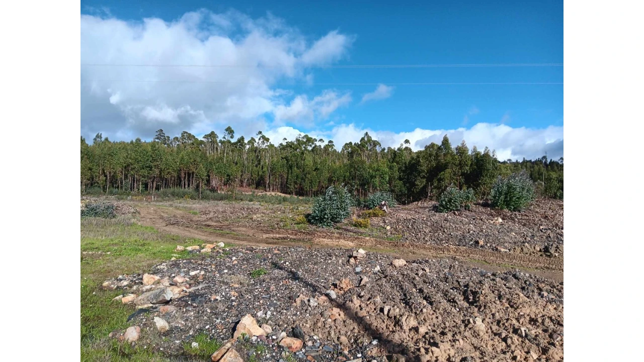 Terreno Agricola ou Rústico para Venda em Mação, Penhascoso e Aboboreira Foto 16