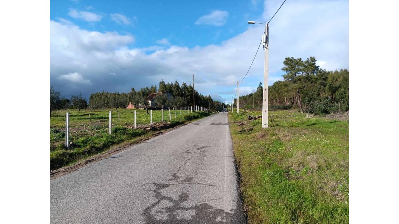 Terreno Agricola ou Rústico para Venda em Mação, Penhascoso e Aboboreira Foto 21