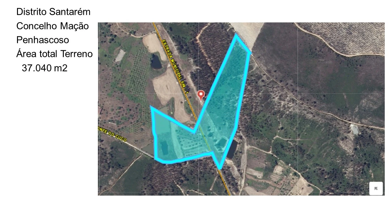 Terreno Agricola ou Rústico para Venda em Mação, Penhascoso e Aboboreira Foto 22