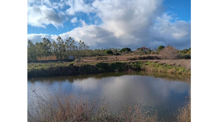 Terreno Agricola ou Rústico para Venda em Mação, Penhascoso e Aboboreira