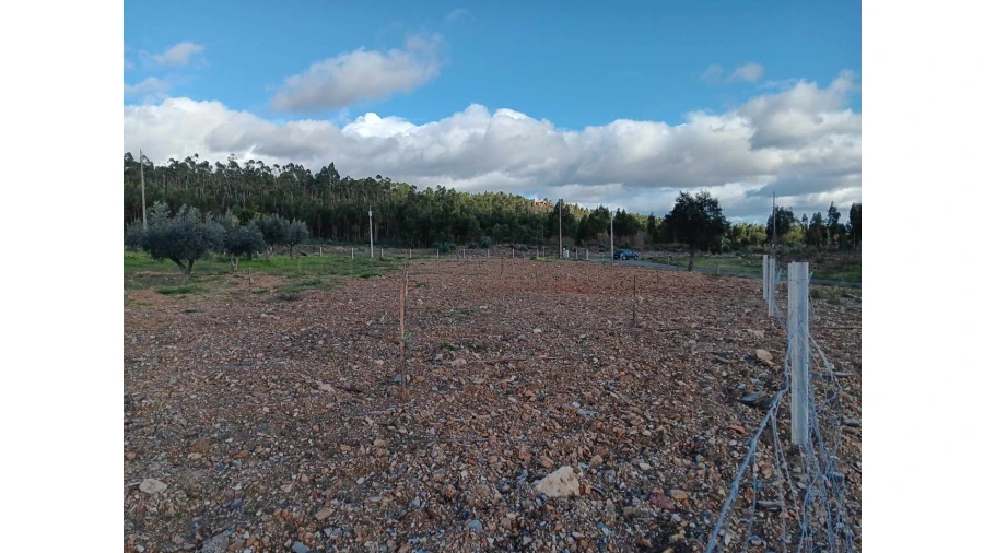 Terreno Agricola ou Rústico para Venda em Mação, Penhascoso e Aboboreira Foto 5