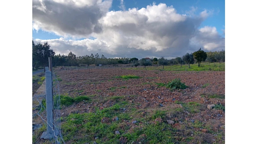 Terreno Agricola ou Rústico para Venda em Mação, Penhascoso e Aboboreira Foto 15