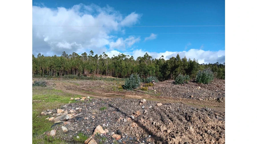 Terreno Agricola ou Rústico para Venda em Mação, Penhascoso e Aboboreira Foto 16