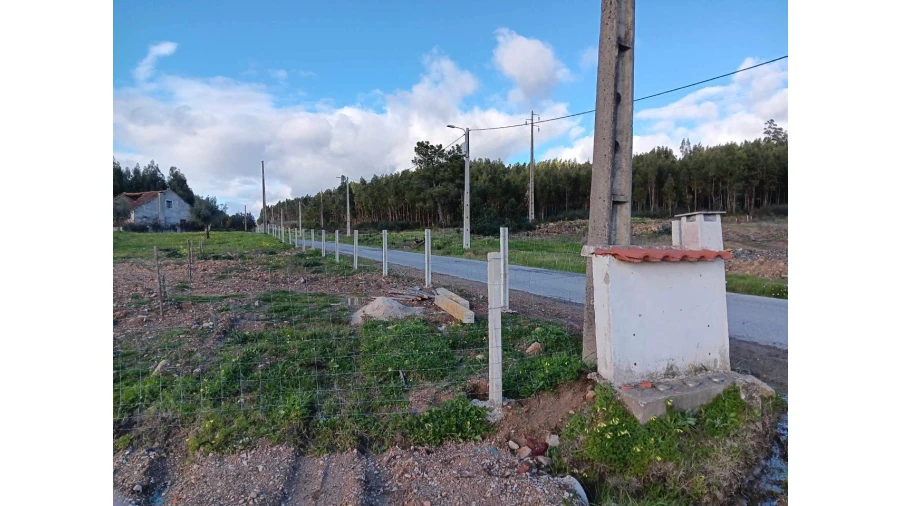 Terreno Agricola ou Rústico para Venda em Mação, Penhascoso e Aboboreira Foto 17